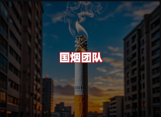 国烟团队